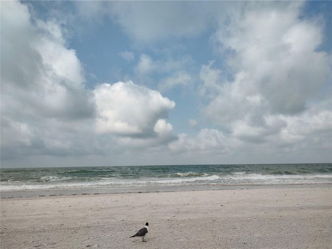 1006 32 Nd Street Ct E, House other with 3 bedrooms, 2 bathrooms and null parking in BRADENTON FL | Image 45