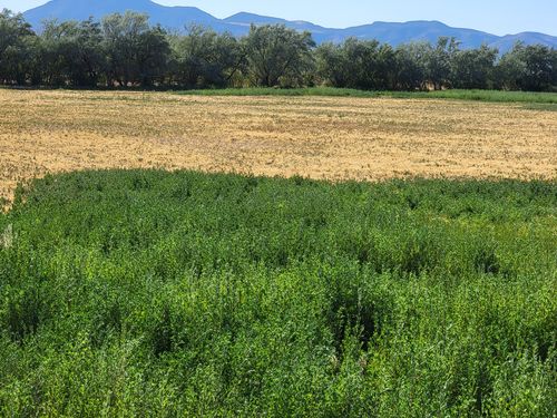 14900 S 11130 W, Goshen, UT, 84633 | Card Image