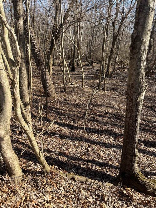 0 Greene County Ar 954 Rd, Paragould, AR, 72450 | Card Image