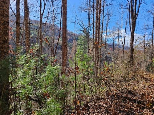 2611 Wayehutta Rd, Cullowhee, NC, 28723-8205 | Card Image