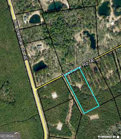 0 Hawthorne Rd Ne, Townsend, GA, 31331 | Card Image