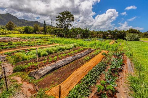 6235 Koolau Rd, Anahola, HI, 96703 | Card Image