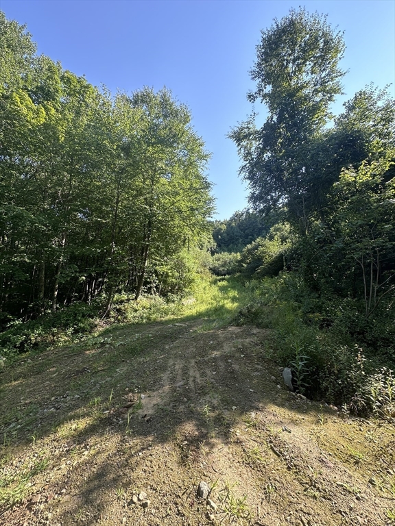Land in Warren 4