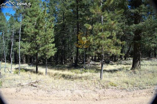 252 Southpark Rd, Florissant, CO, 80816-8980 | Card Image