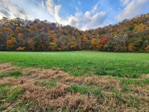 0 Pine Lick Rd, Whitleyville, TN, 38588 | Card Image