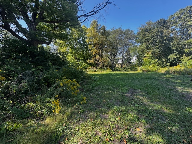Land in Aurora 5