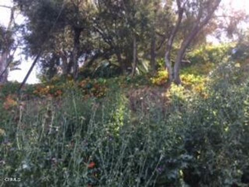 0 Earl Ct, Los Angeles, CA, 90039 | Card Image