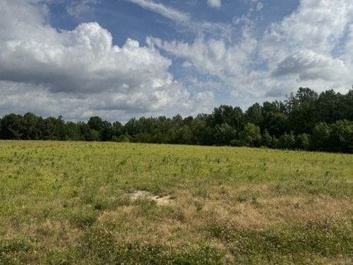 0 Bob Perry Rd, Bethpage, TN, 37022 | Card Image
