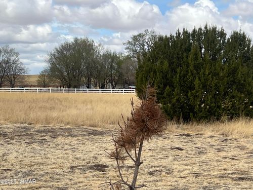 TBD W Main St, Springerville, AZ, 85938 | Card Image