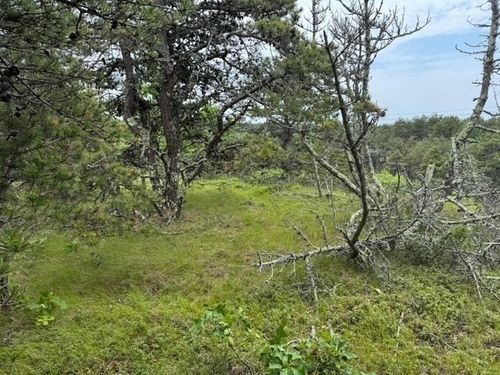 6 Longnook Ln, Truro, MA, 02666-5330 | Card Image