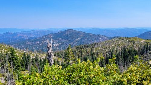 000 E County Line Rd, French Gulch, CA, 96033 | Card Image