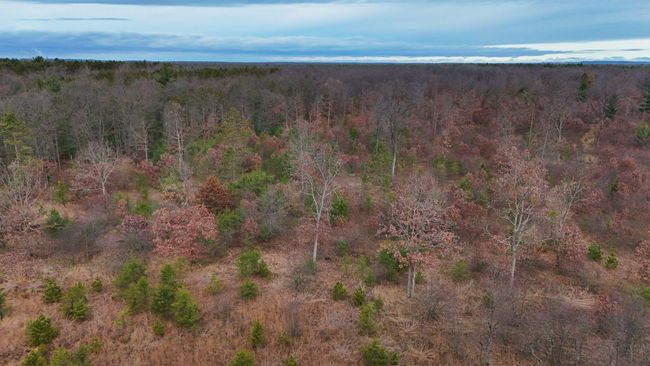 3726 N Custer Rd, Home with 0 bedrooms, 0 bathrooms and null parking in Manistee MI | Image 25