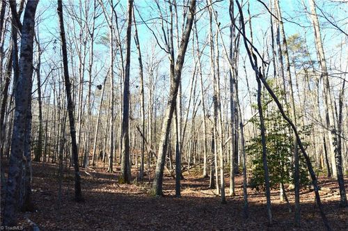 1372-1010-1372 Hanging Rock Park Rd, Danbury, NC, 27016 | Card Image