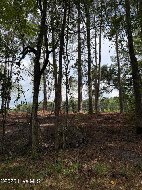Tbd/Lot 2 Elmore Rd, Laurinburg, NC, 28352 | Card Image