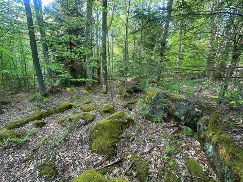 Lot 4 Tuscan Ridge Rd, Davis, WV, 26260 | Card Image