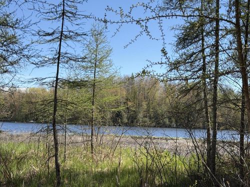 Lt3 Boat Landing 11 Road, SILVER CLIFF, WI, 54104 | Card Image