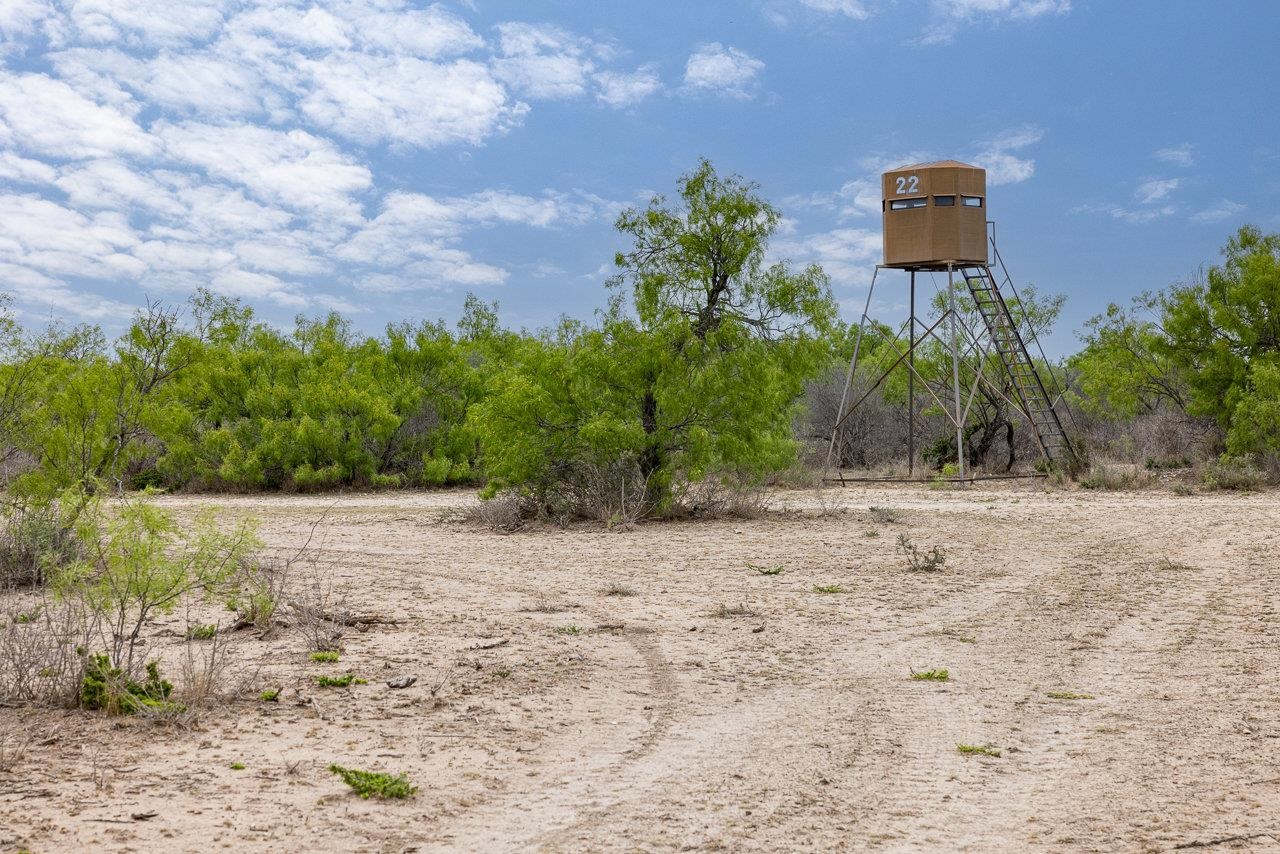 Land in Del Rio 2