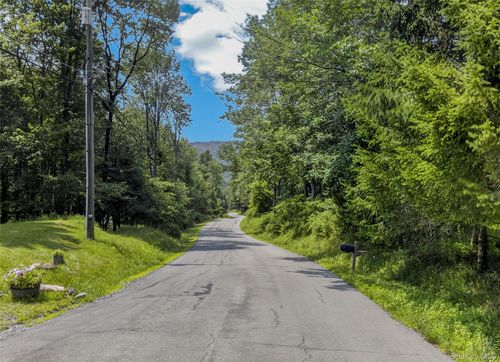 TDB White Roe Lake Road, Rockland, NY, 12758 | Card Image