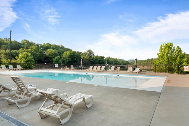 Pool Forest Lake | Image 72