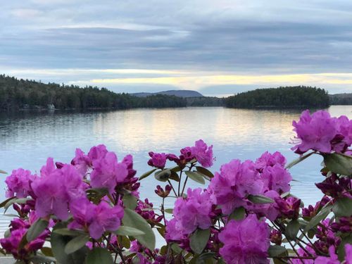 362 Stickney Hill Road, Liberty, ME, 04949 | Card Image