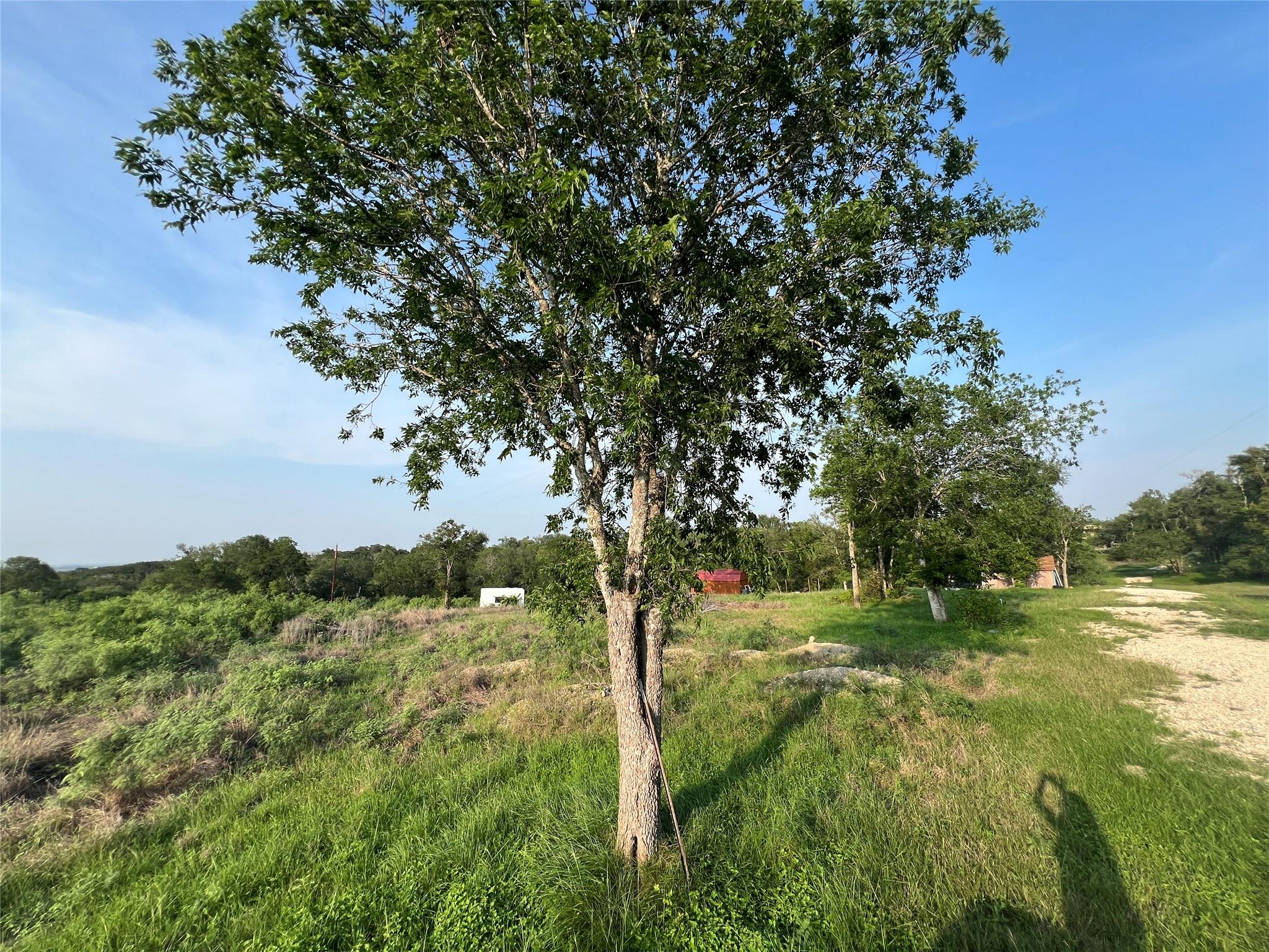 Land in Manor 2