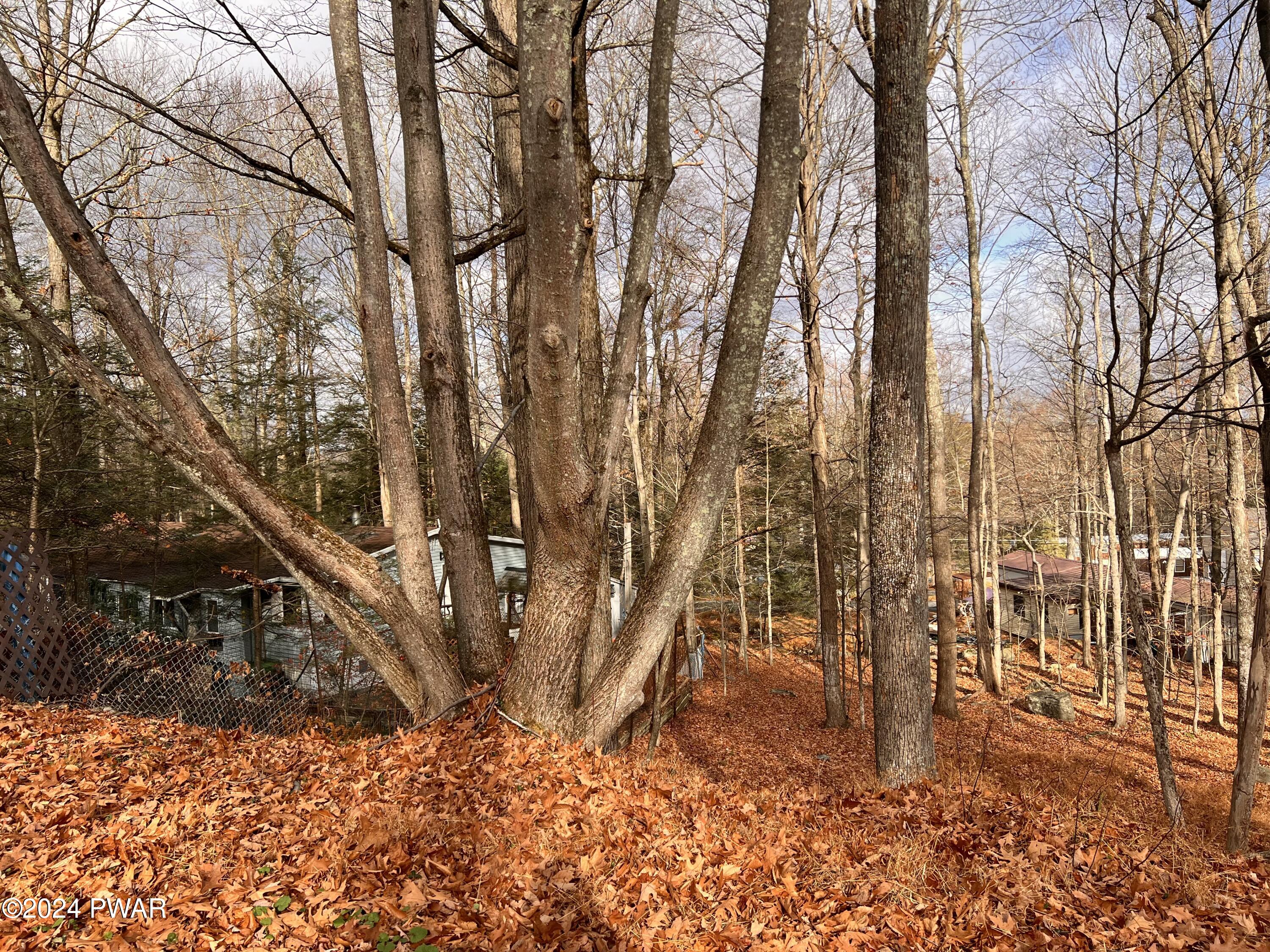 Land in Greentown 4