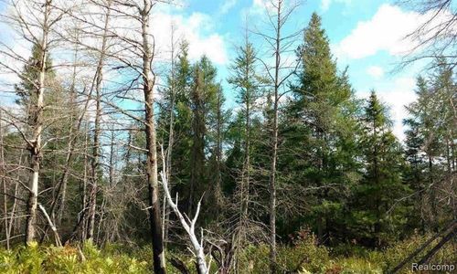 23305 Duck Lake Trail, Newberry Village, MI, 49868 | Card Image