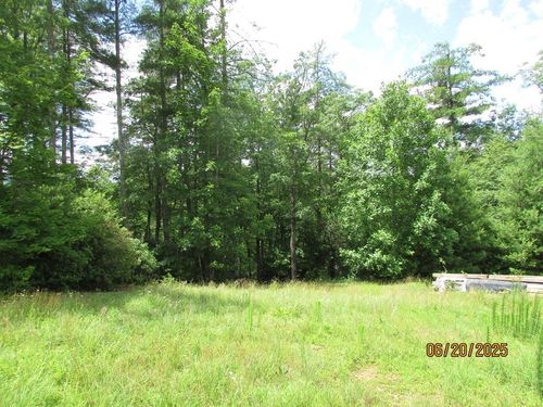 #10 Shelton Springs Dr, Hayesville, NC, 28904 | Card Image