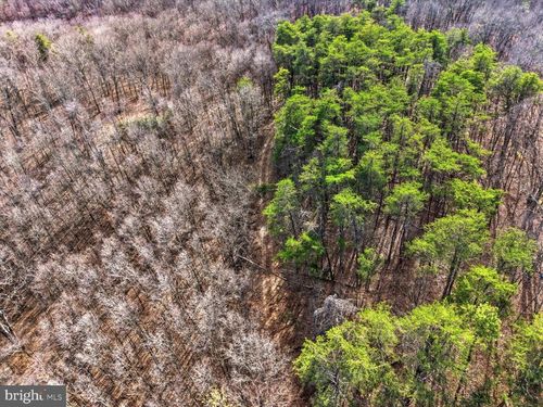 494 Sam Hill Lane, GREAT CACAPON, WV, 25422 | Card Image