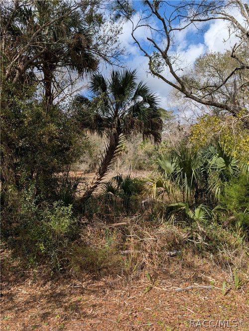 0000 Lorie Street, INGLIS, FL, 34449 | Card Image