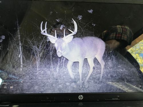 V/L 109th Ave, Allegan, MI, 49010 | Card Image