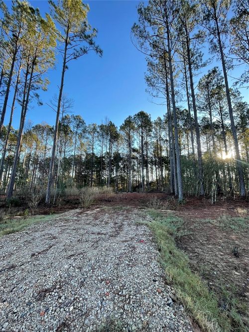 11356 Annie Creek Drive, Willis, TX, 77378 | Card Image