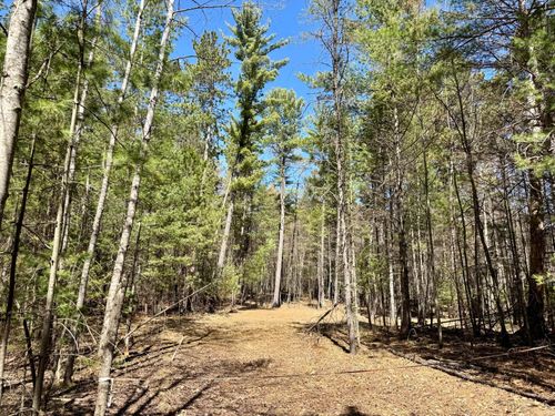 9276 Black Pine Ln, Minocqua, WI, 54548-9310 | Card Image