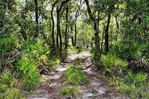0000 Sw County Road 347, Chiefland, FL, 32626 | Card Image