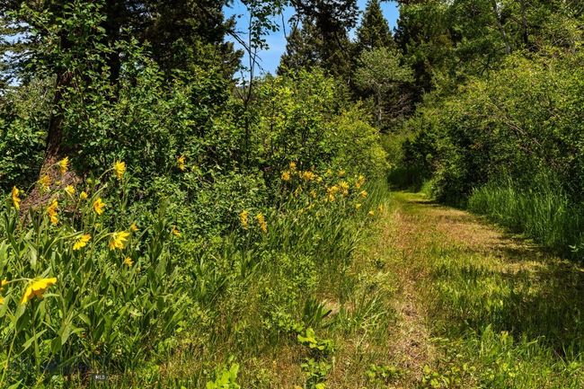 207 Martinez Spring Rd, House other with 4 bedrooms, 5 bathrooms and null parking in Bozeman MT | Image 88