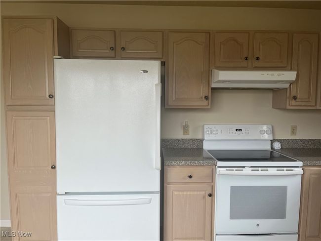 Refrigerator (2018) Electric Stove/Oven (2016) | Image 6