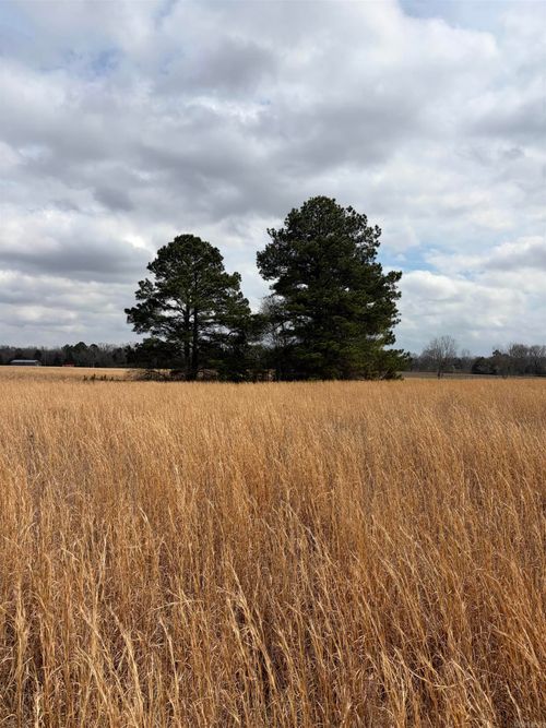 000 Highway 267 Spur, Beebe, AR, 72012 | Card Image