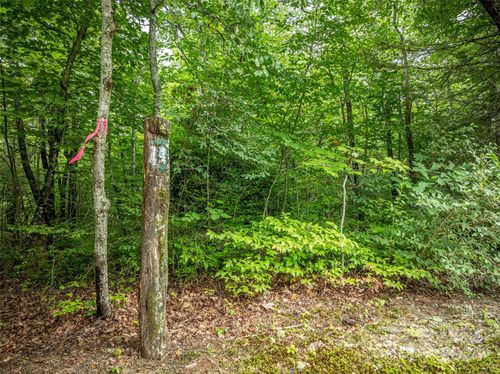lot-14-000 Meadow Ridge Dr, Lake Toxaway, NC, 28747 | Card Image