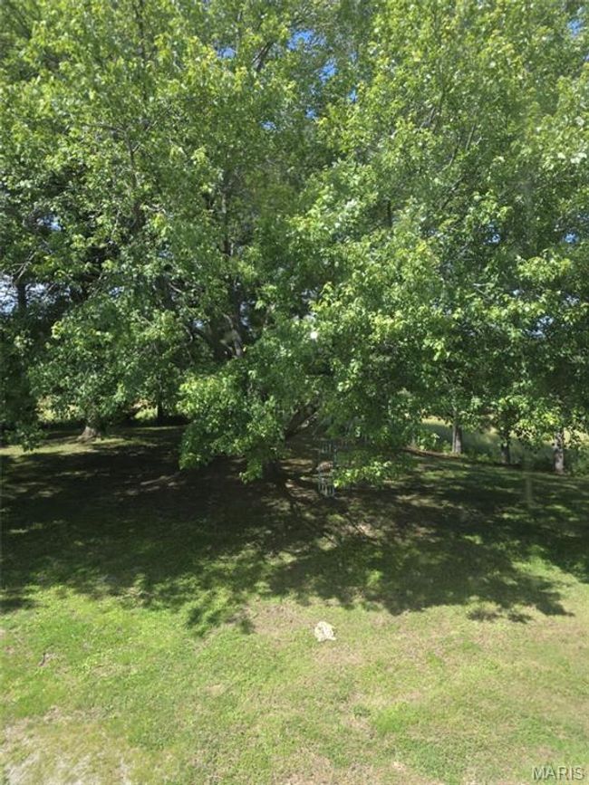 View of grassy yard | Image 14