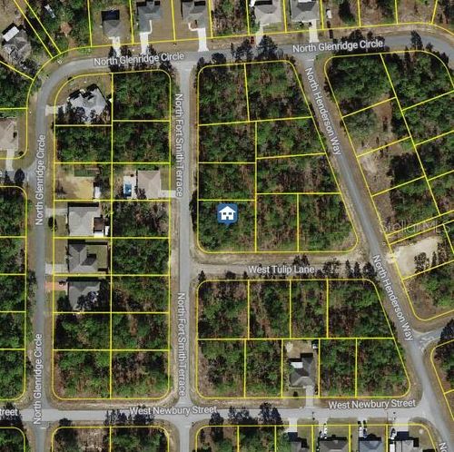 647 W Tulip Ln, Citrus Springs, FL, 34434 | Card Image