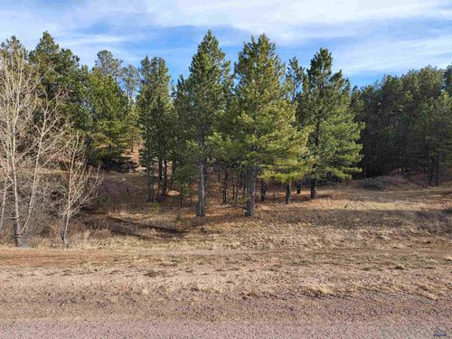 lot-108-TBD Frontier Loop, Piedmont, SD, 57769 | Card Image