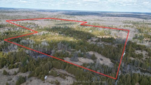 509 12th Line Dummer Rd, Norwood, ON, K0L2V0 | Card Image