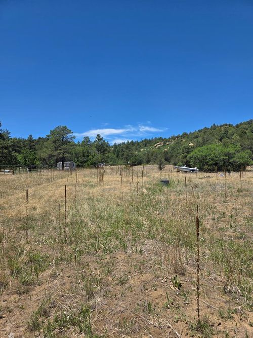 17775 County Road 51, Boncarbo, CO, 81024-2062 | Card Image