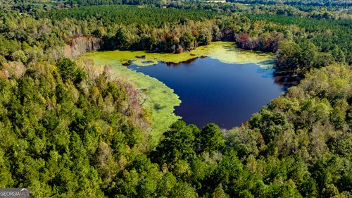 2947 Ivey Avenue, Claxton, GA, 30417 | Card Image