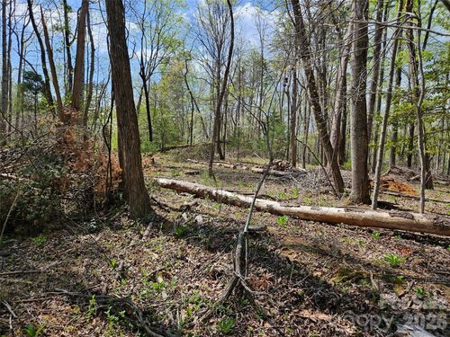 57-0 Whitney Blvd, Lake Lure, NC, 28746 | Card Image