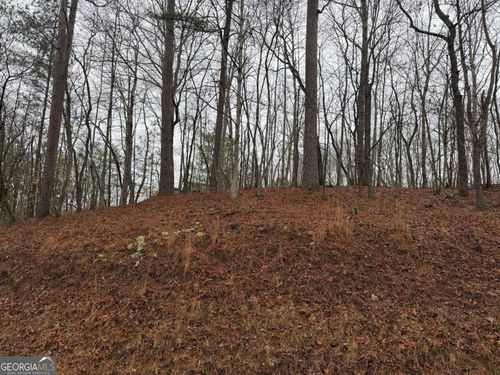 LOT 452 Joliet Dr, Ellijay, GA, 30540 | Card Image