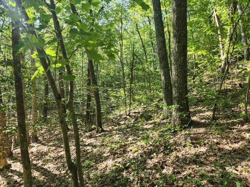 0 Tower Hill Rd, Candia, NH, 03034 | Card Image