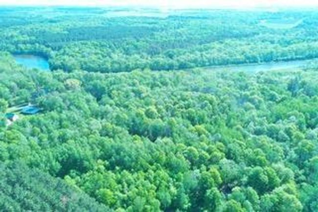 DJI_0477.jpeg | Image 49