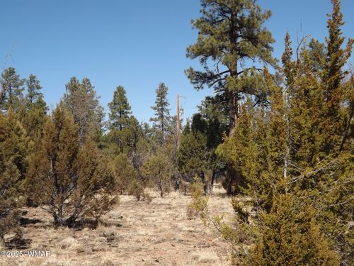 0004X Parcel 2 Section 31, Overgaard, AZ, 85933 | Card Image