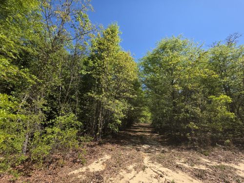 Lot 1 Briarwood Dr, Williston, SC, 29853-5462 | Card Image